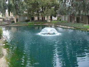 Northlake Gardens Fountain